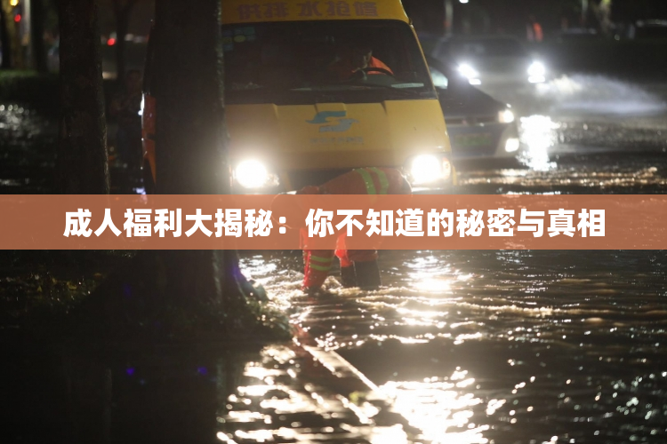 成人福利大揭秘：你不知道的秘密与真相
