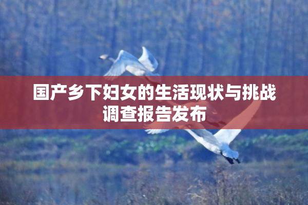 国产乡下妇女的生活现状与挑战调查报告发布
