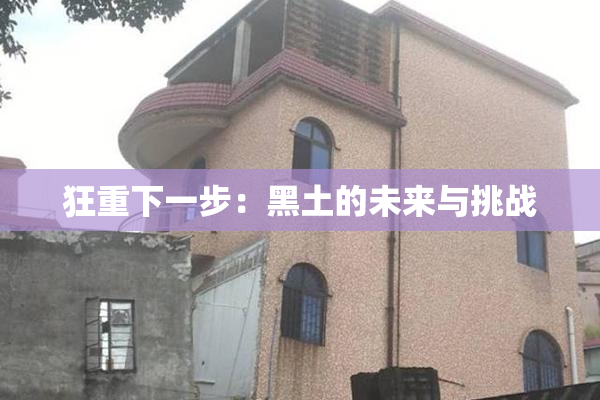 狂重下一步：黑土的未来与挑战