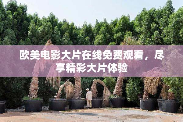 欧美电影大片在线免费观看，尽享精彩大片体验