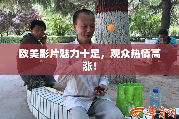 欧美影片魅力十足，观众热情高涨！