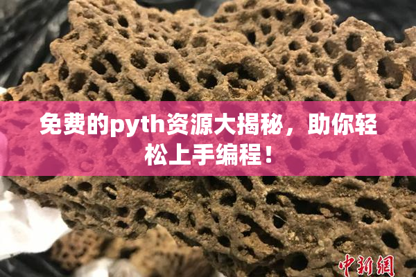 免费的pyth资源大揭秘，助你轻松上手编程！