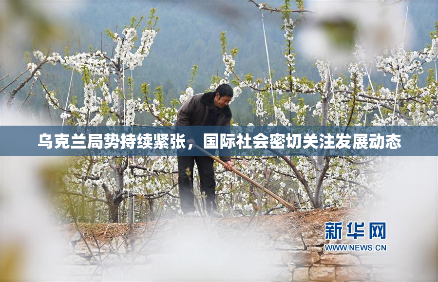 乌克兰局势持续紧张，国际社会密切关注发展动态