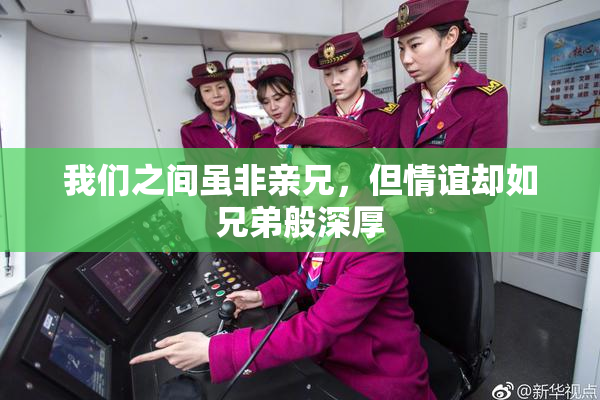 我们之间虽非亲兄，但情谊却如兄弟般深厚