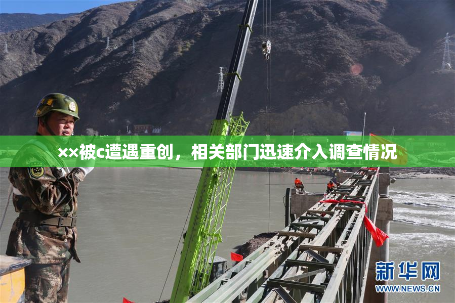 ××被c遭遇重创，相关部门迅速介入调查情况