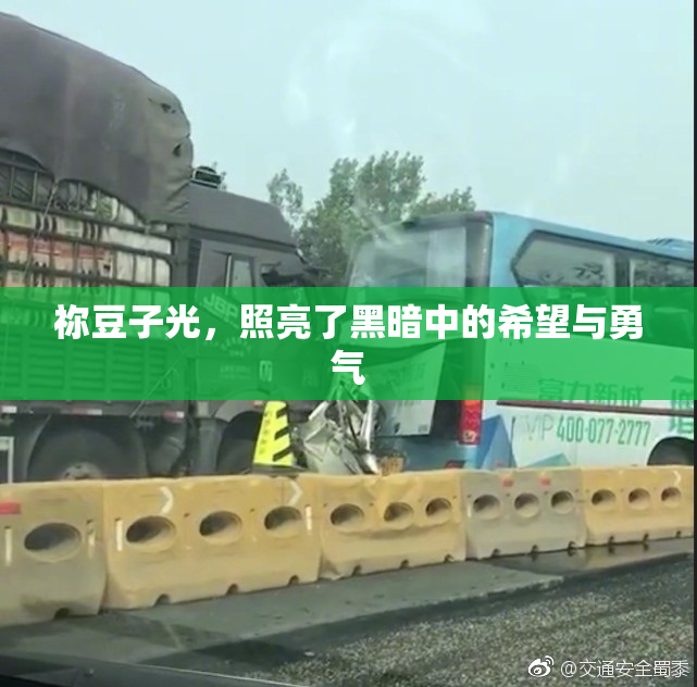 祢豆子光，照亮了黑暗中的希望与勇气