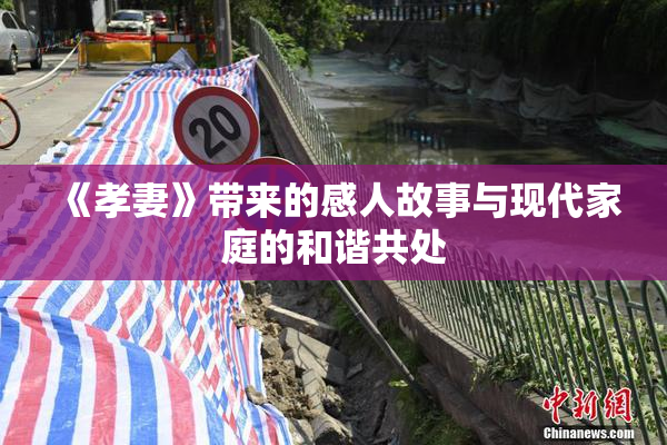 《孝妻》带来的感人故事与现代家庭的和谐共处