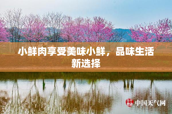小鲜肉享受美味小鲜，品味生活新选择