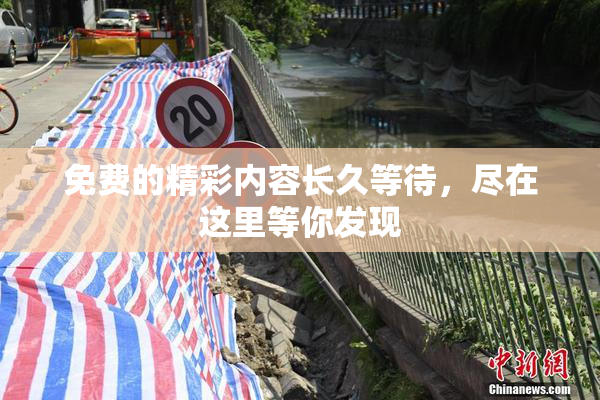 免费的精彩内容长久等待，尽在这里等你发现