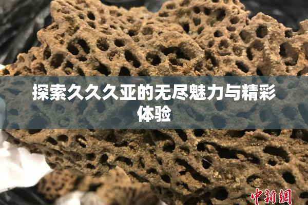探索久久久亚的无尽魅力与精彩体验