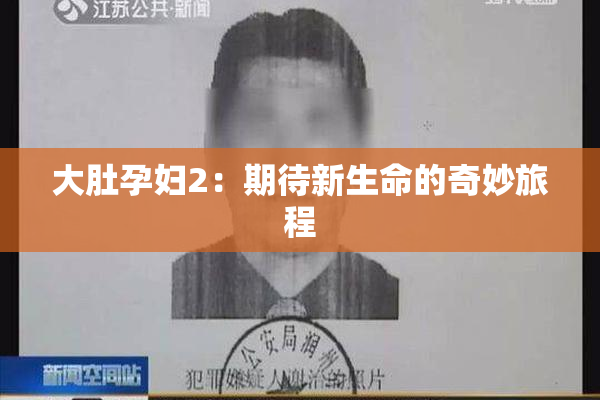 大肚孕妇2：期待新生命的奇妙旅程