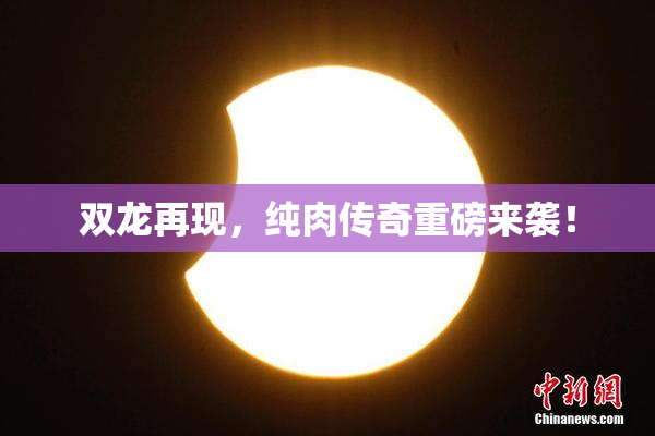 双龙再现，纯肉传奇重磅来袭！