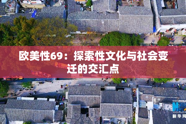欧美性69：探索性文化与社会变迁的交汇点