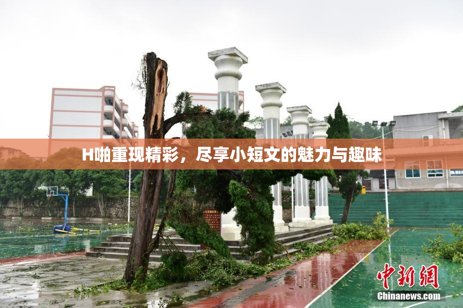 H啪重现精彩，尽享小短文的魅力与趣味
