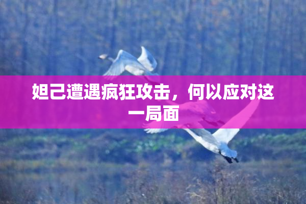 妲己遭遇疯狂攻击，何以应对这一局面