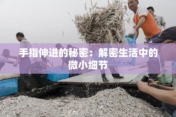 手指伸进的秘密：解密生活中的微小细节