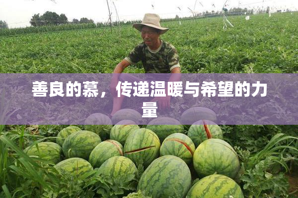 善良的慕，传递温暖与希望的力量