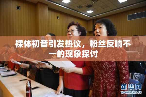 裸体初音引发热议，粉丝反响不一的现象探讨