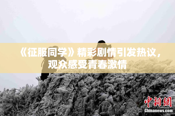 《征服同学》精彩剧情引发热议，观众感受青春激情