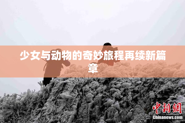 少女与动物的奇妙旅程再续新篇章