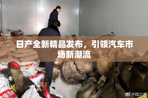日产全新精品发布，引领汽车市场新潮流