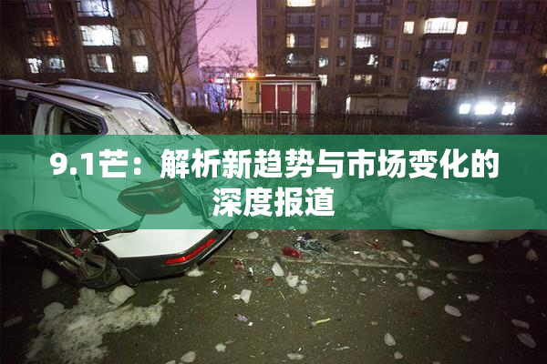 9.1芒：解析新趋势与市场变化的深度报道