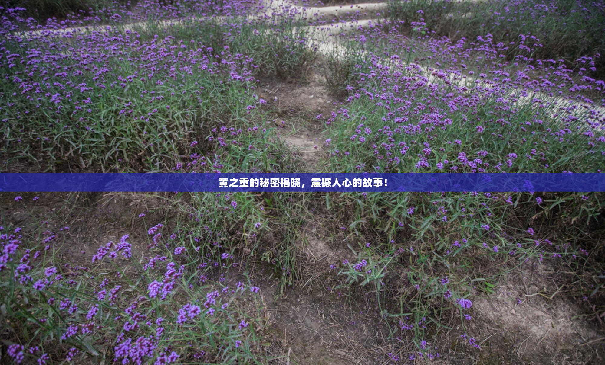 黄之重的秘密揭晓，震撼人心的故事！
