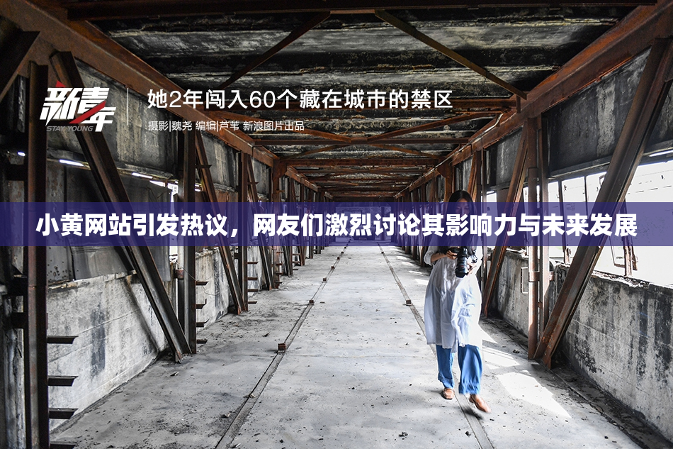 小黄网站引发热议，网友们激烈讨论其影响力与未来发展
