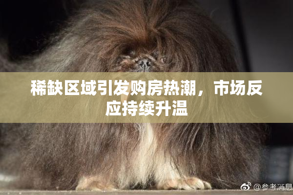 稀缺区域引发购房热潮，市场反应持续升温