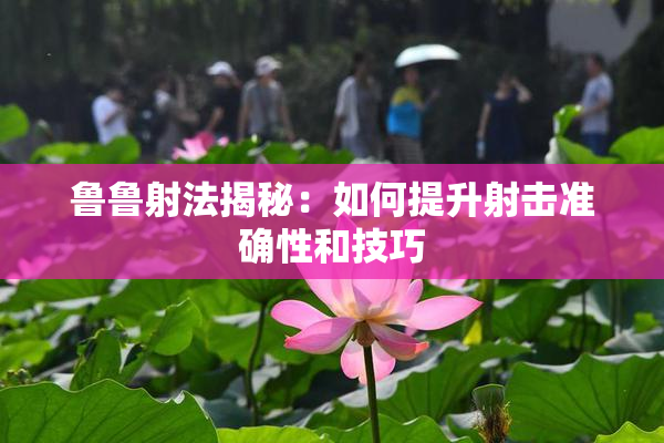 鲁鲁射法揭秘：如何提升射击准确性和技巧