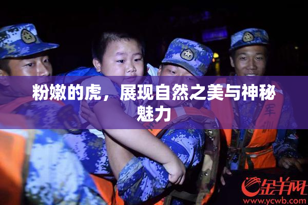 粉嫩的虎，展现自然之美与神秘魅力