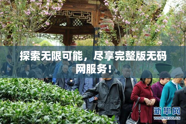 探索无限可能，尽享完整版无码网服务！