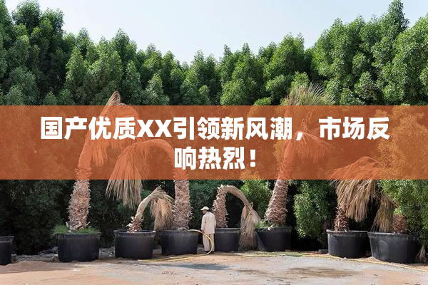 国产优质XX引领新风潮，市场反响热烈！