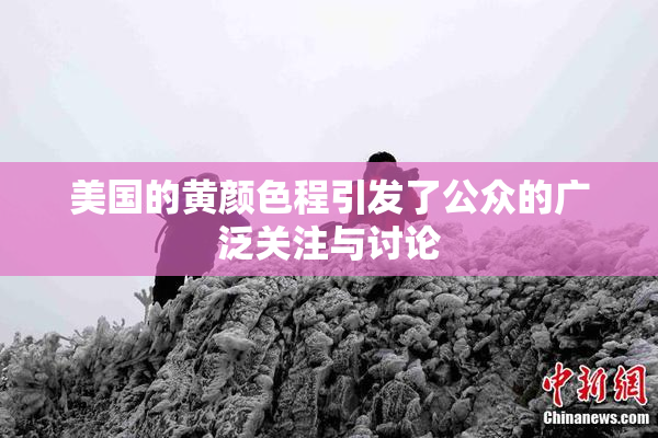 美国的黄颜色程引发了公众的广泛关注与讨论