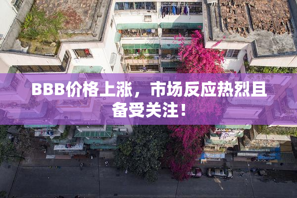 BBB价格上涨，市场反应热烈且备受关注！