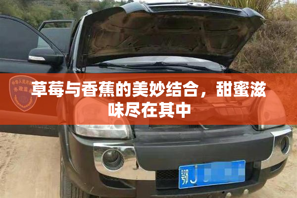 草莓与香蕉的美妙结合，甜蜜滋味尽在其中
