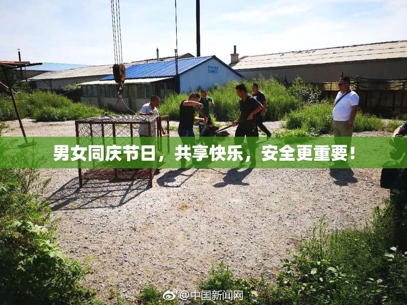 男女同庆节日，共享快乐，安全更重要！