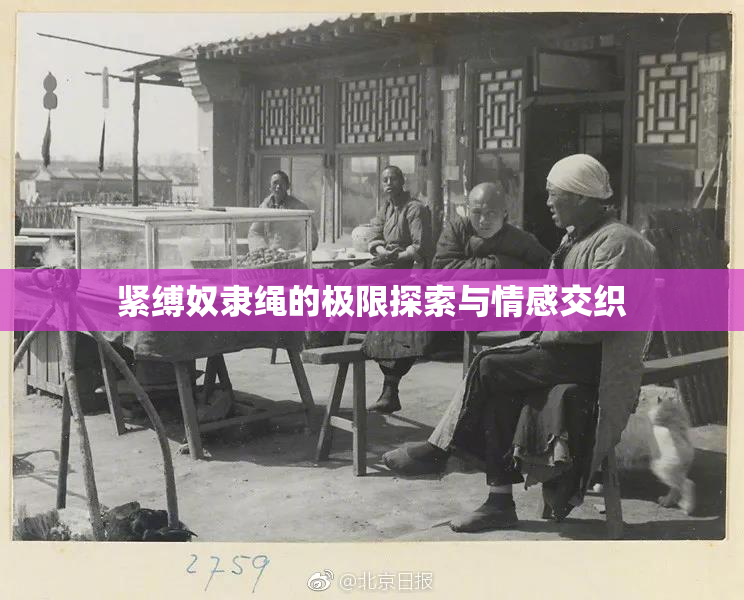 紧缚奴隶绳的极限探索与情感交织