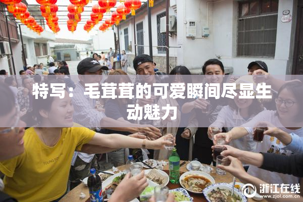 特写：毛茸茸的可爱瞬间尽显生动魅力