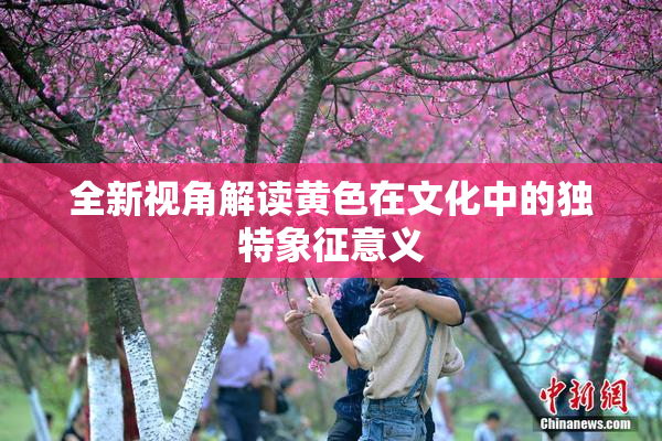 全新视角解读黄色在文化中的独特象征意义