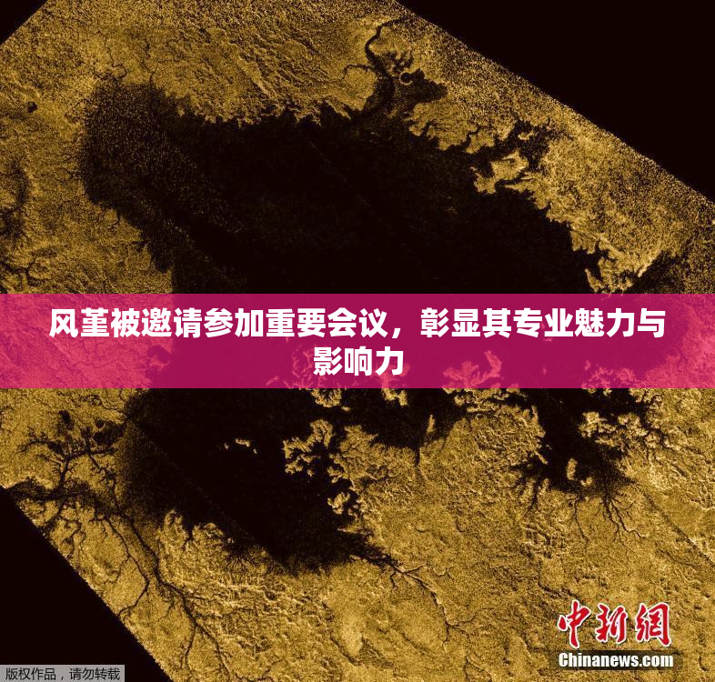 风堇被邀请参加重要会议，彰显其专业魅力与影响力