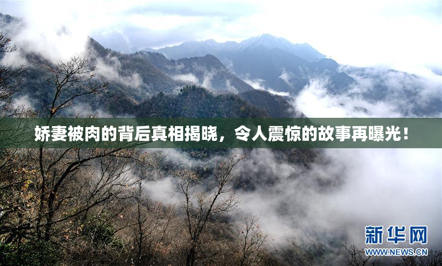 娇妻被肉的背后真相揭晓，令人震惊的故事再曝光！