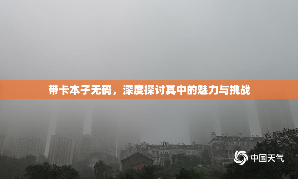 带卡本子无码，深度探讨其中的魅力与挑战