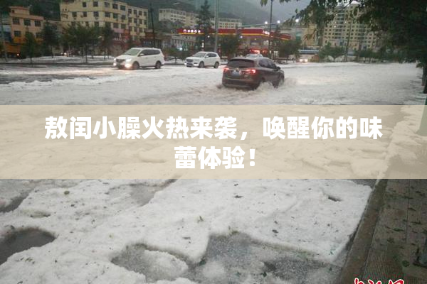 敖闰小臊火热来袭，唤醒你的味蕾体验！