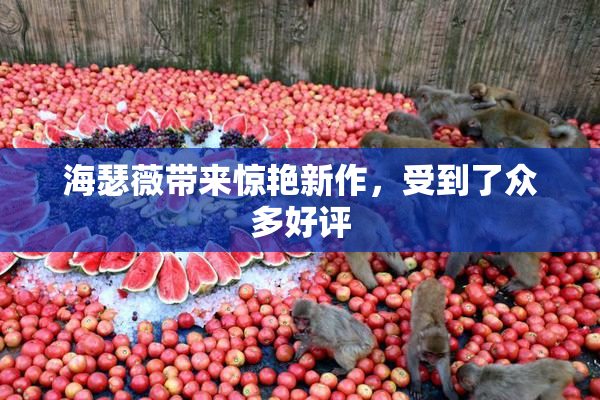 海瑟薇带来惊艳新作，受到了众多好评