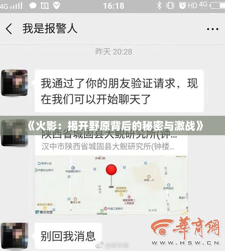 《火影：揭开野原背后的秘密与激战》