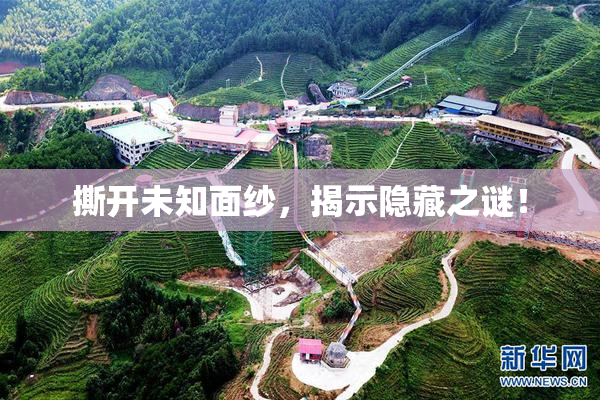 撕开未知面纱，揭示隐藏之谜！
