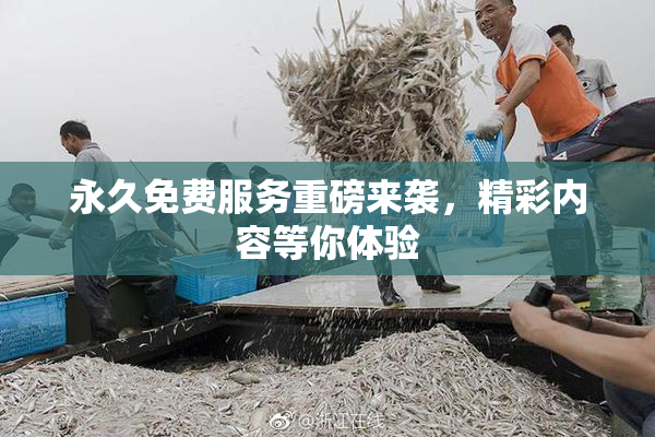 永久免费服务重磅来袭，精彩内容等你体验
