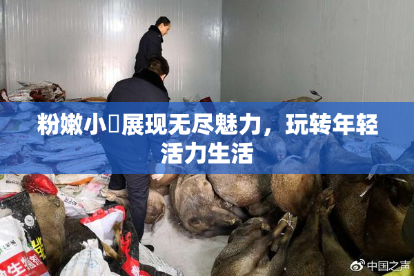 粉嫩小泬展现无尽魅力，玩转年轻活力生活