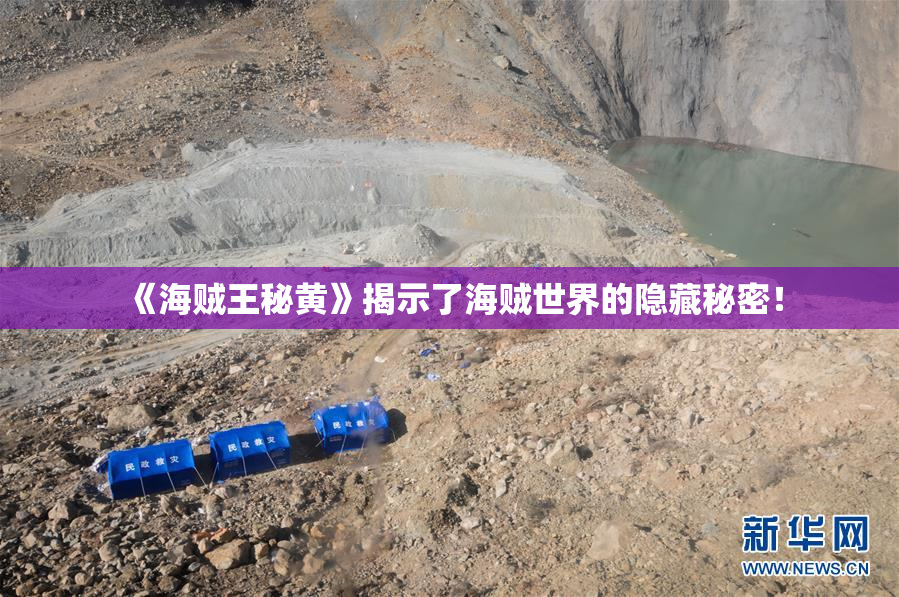 《海贼王秘黄》揭示了海贼世界的隐藏秘密！